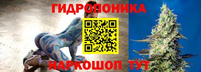 спиды Гусь-Хрустальный