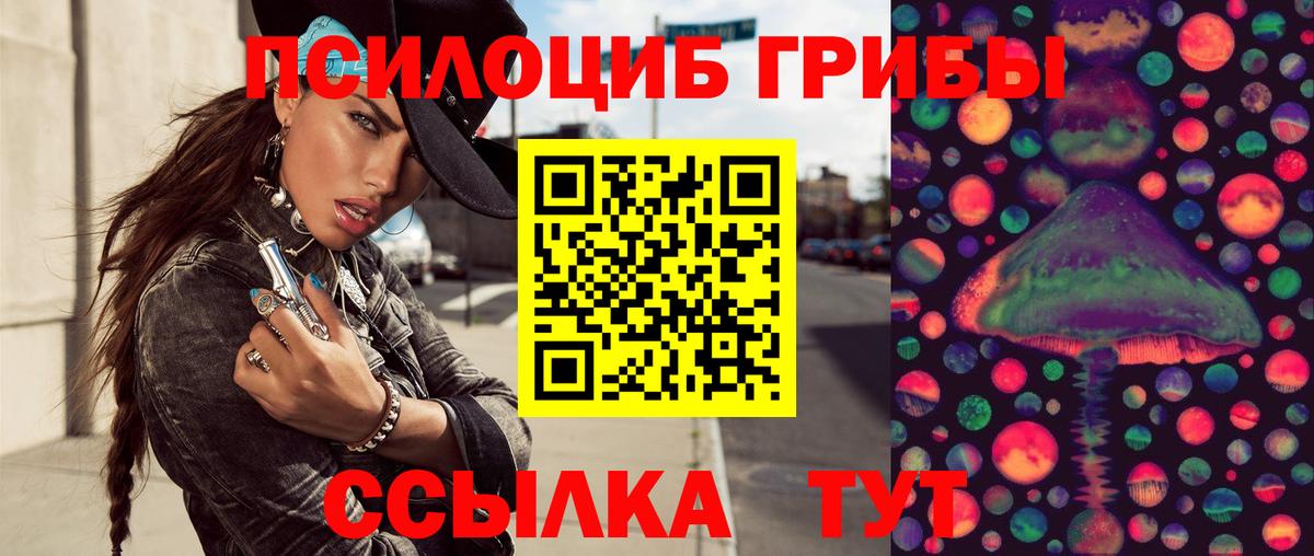 Псилоцибиновые грибы прущие грибы Кингисепп