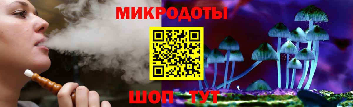 Кингисепп  Галлюциногенные грибы Magic Shrooms  Вход с VPN  Галлюциногенные грибы мухоморы 