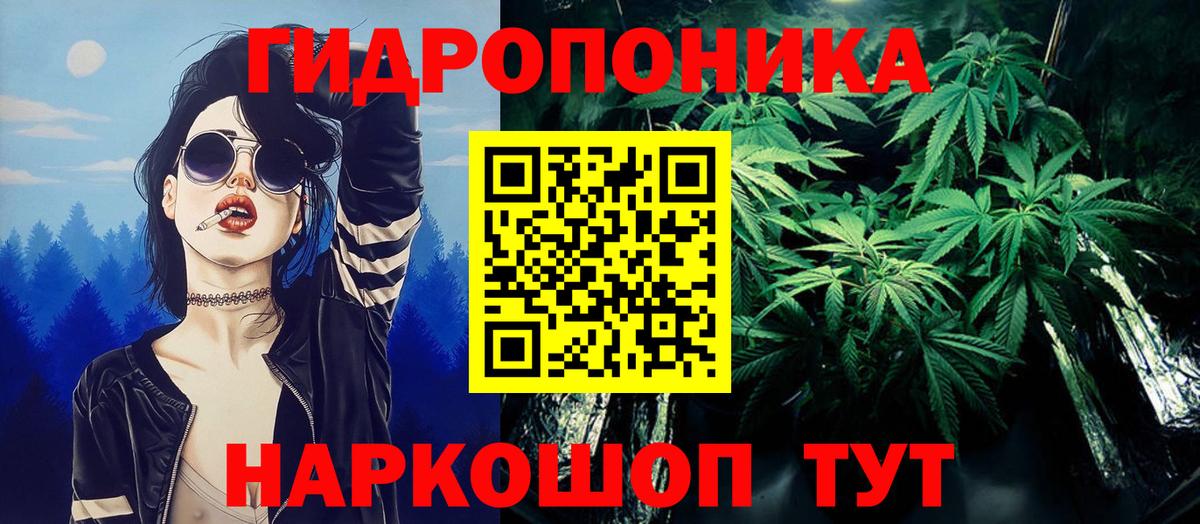 Каннабис Amnesia Кингисепп